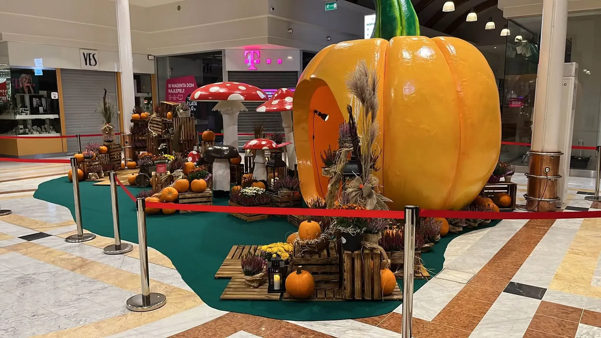 Galerie i centra handlowe